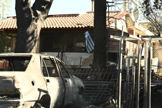 Πεντέλη μετά την καταστροφική πυρκαγιά της 11ης - 12ης Αυγούστου 2024